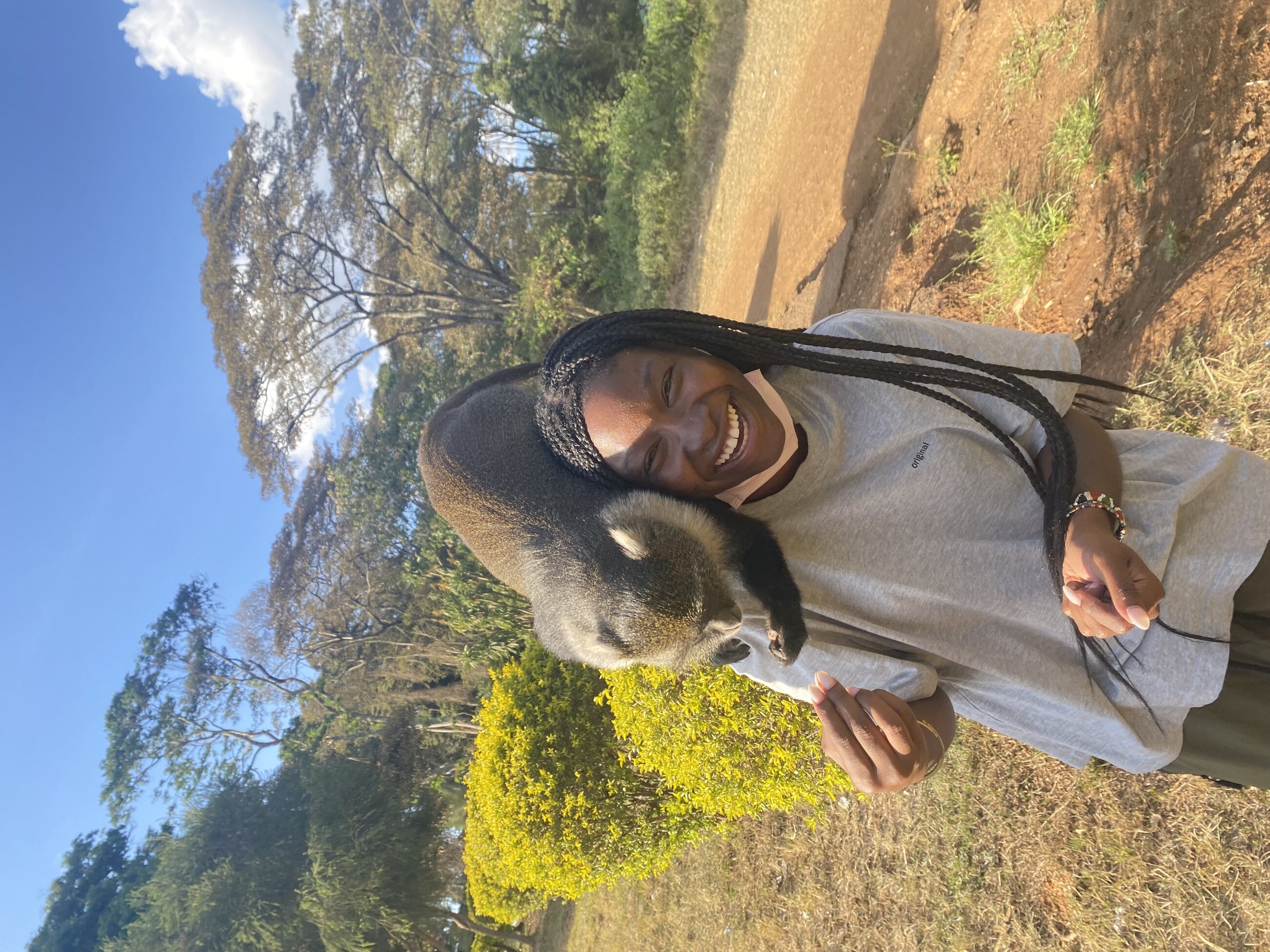 monkeys in a public park 