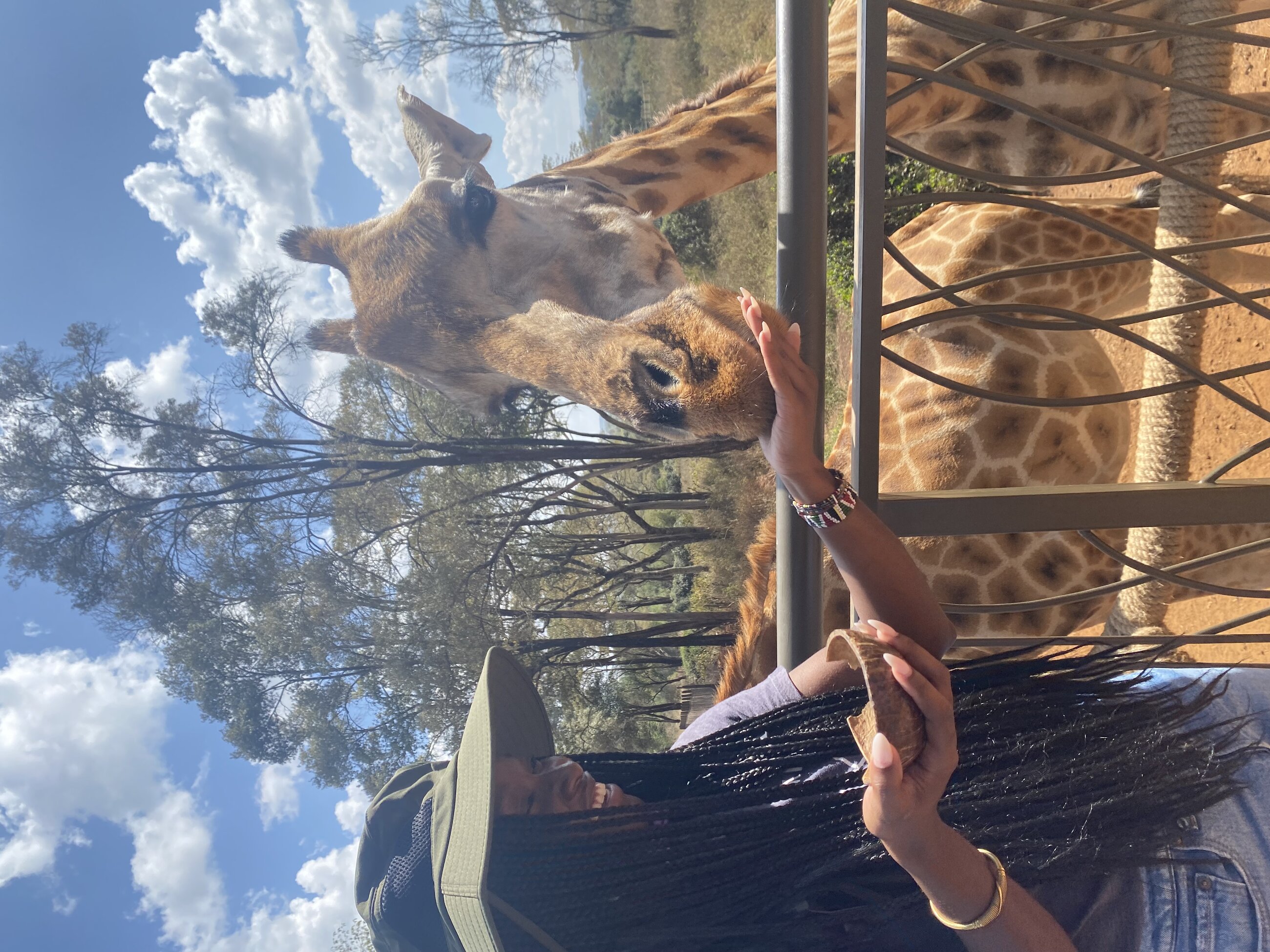 girrafe sanctuary 