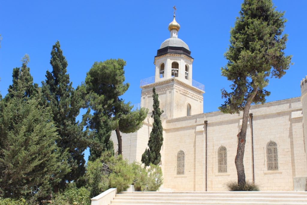 A Journey of Learning and Empathy: My Experience in Palestine