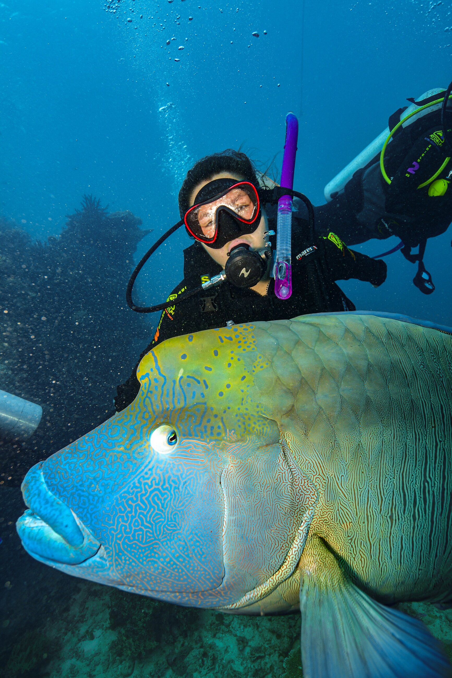 I study marine biology and studying abroad at James Cook University was amazing in helping me complete for research and work with amazing professors in the field. Studying abroad helped me refine how I want to complete research for my future career.