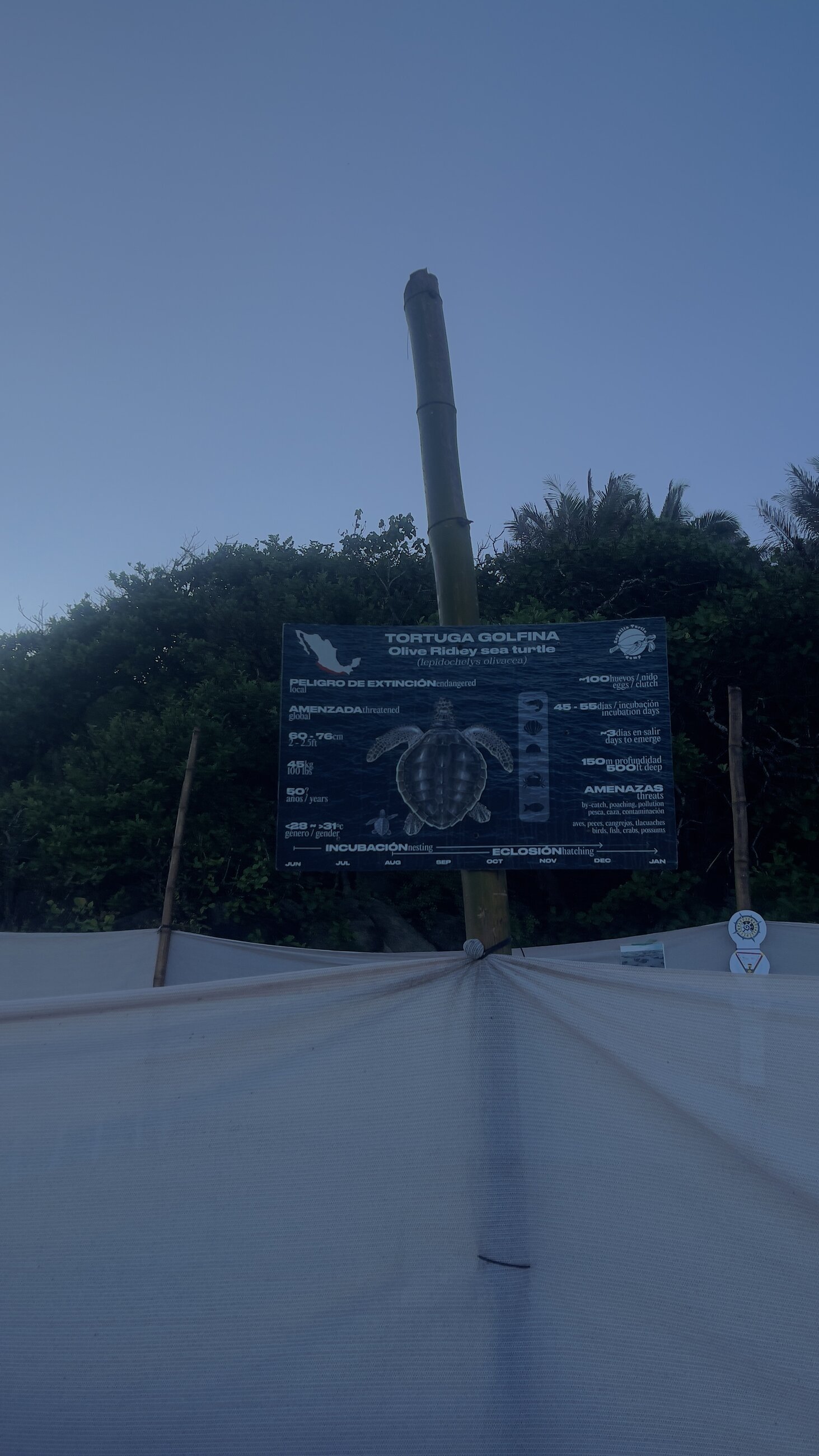 Incubation protection site 
