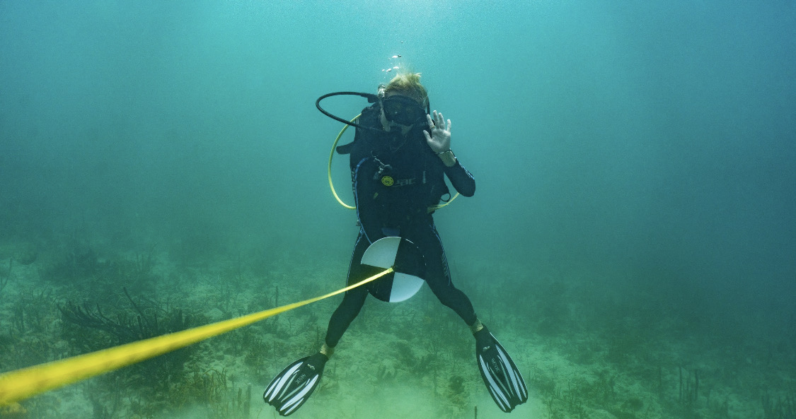 Monitoring Corals! 