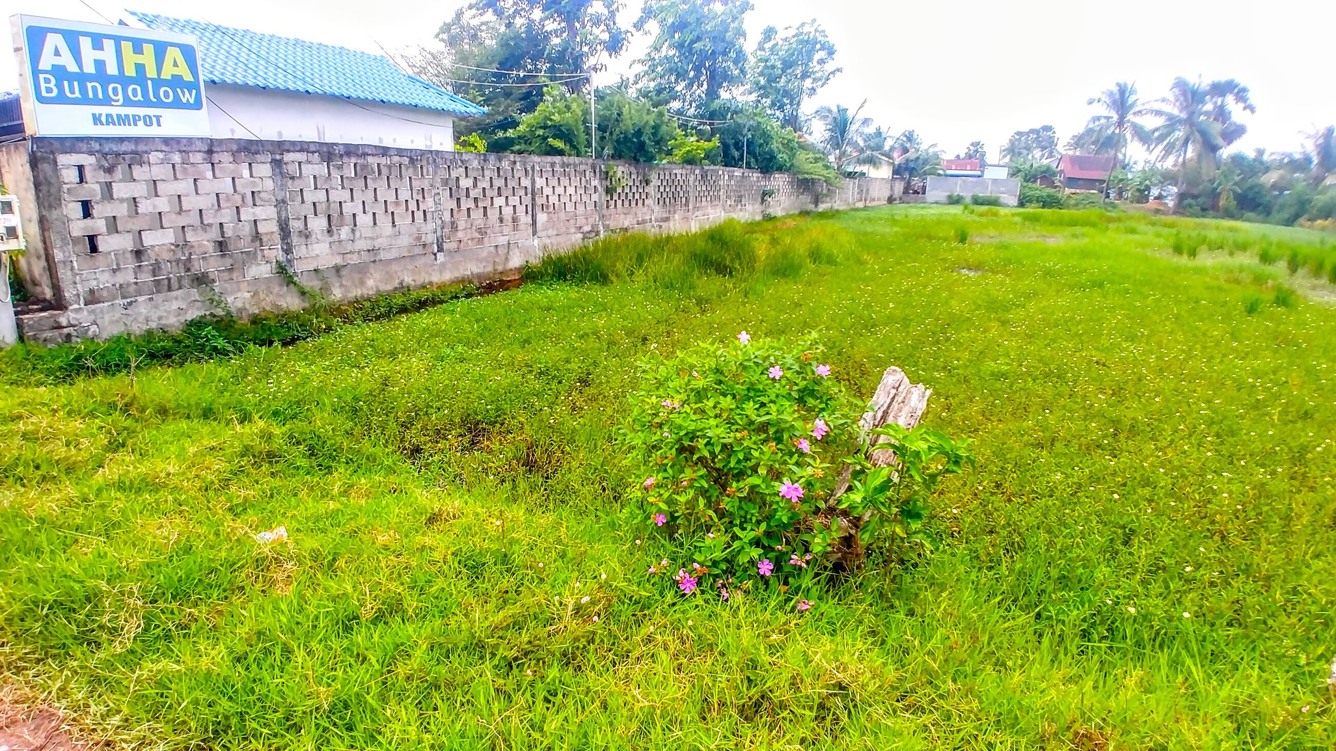 Lush Green at AHHA Bungalows