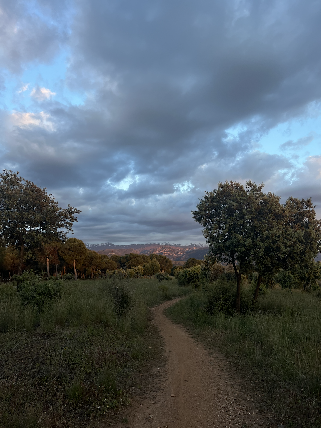  a hike right behind the Alhambra!