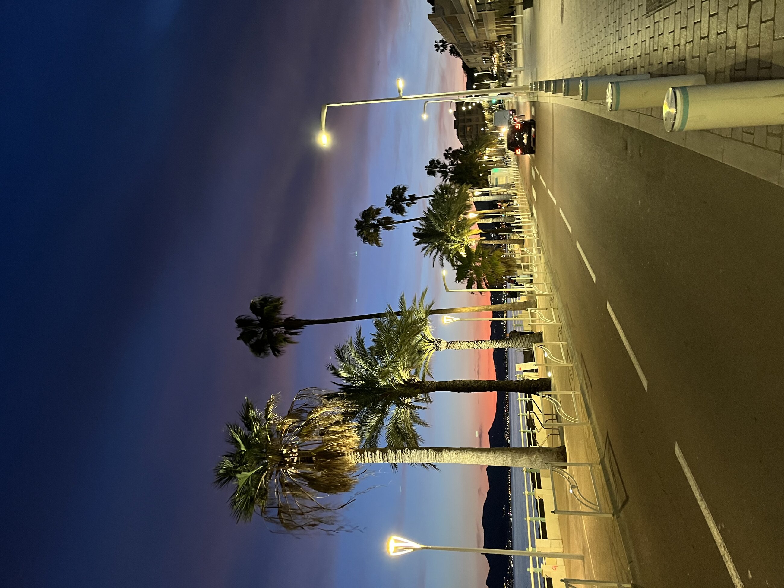 Spring night in Cannes