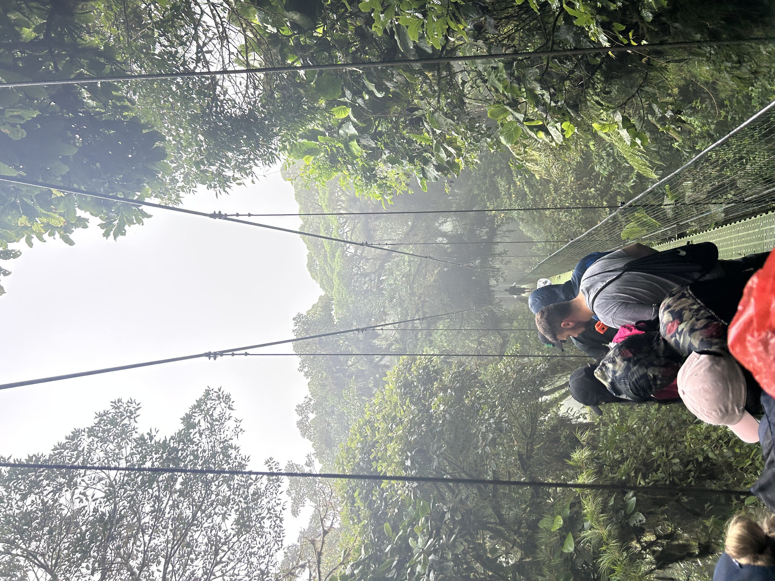 Cloud Bridges in Monteverde, Costa Rica