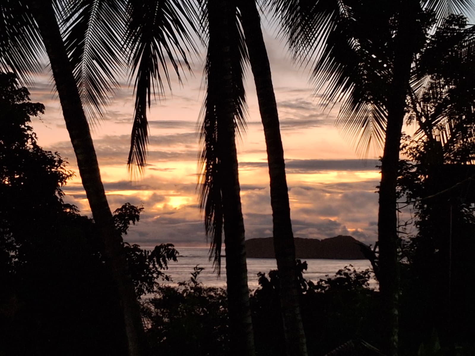 Travel opportunities aplenty