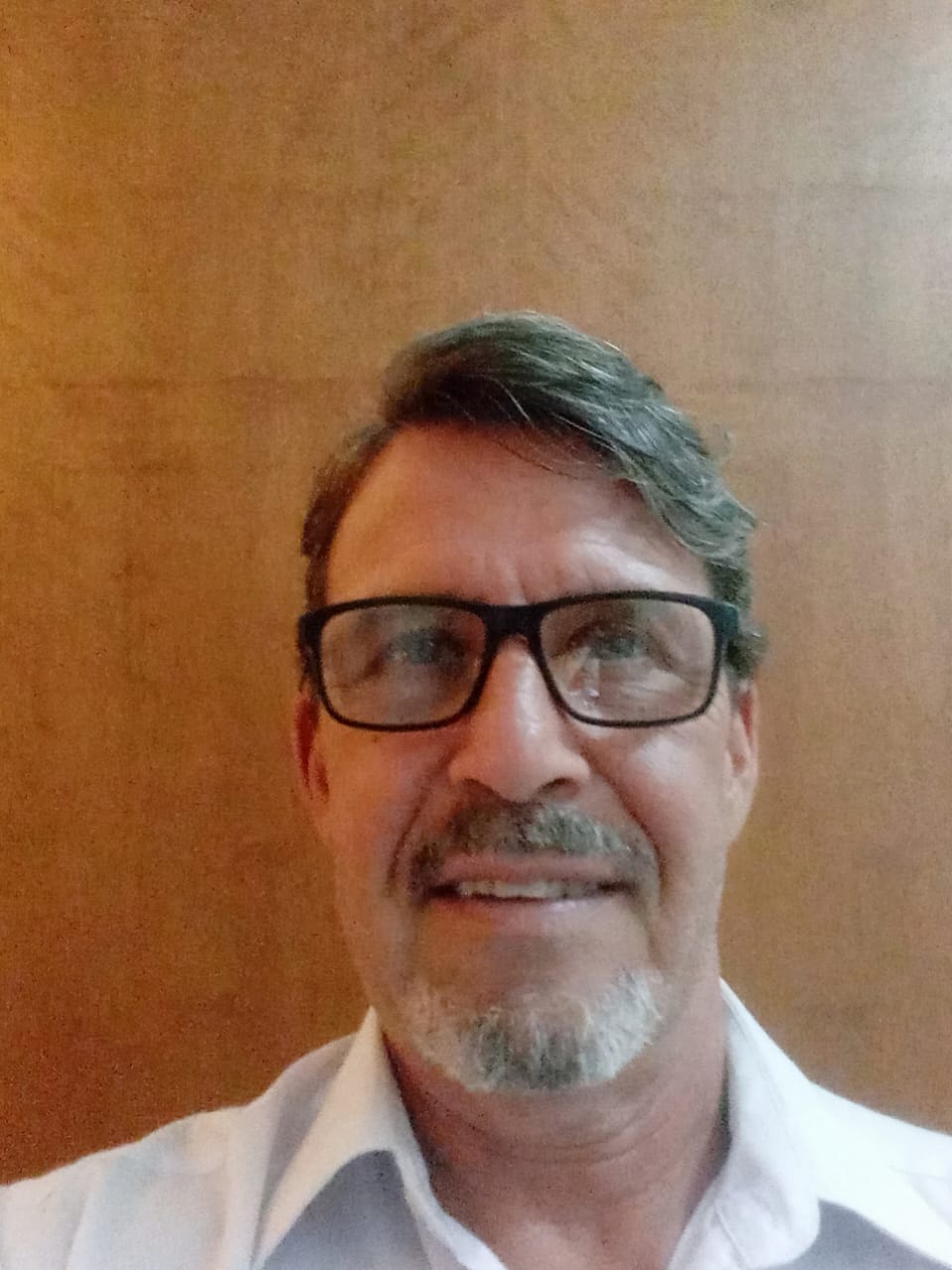 BRAZILIAN TEACHER FER