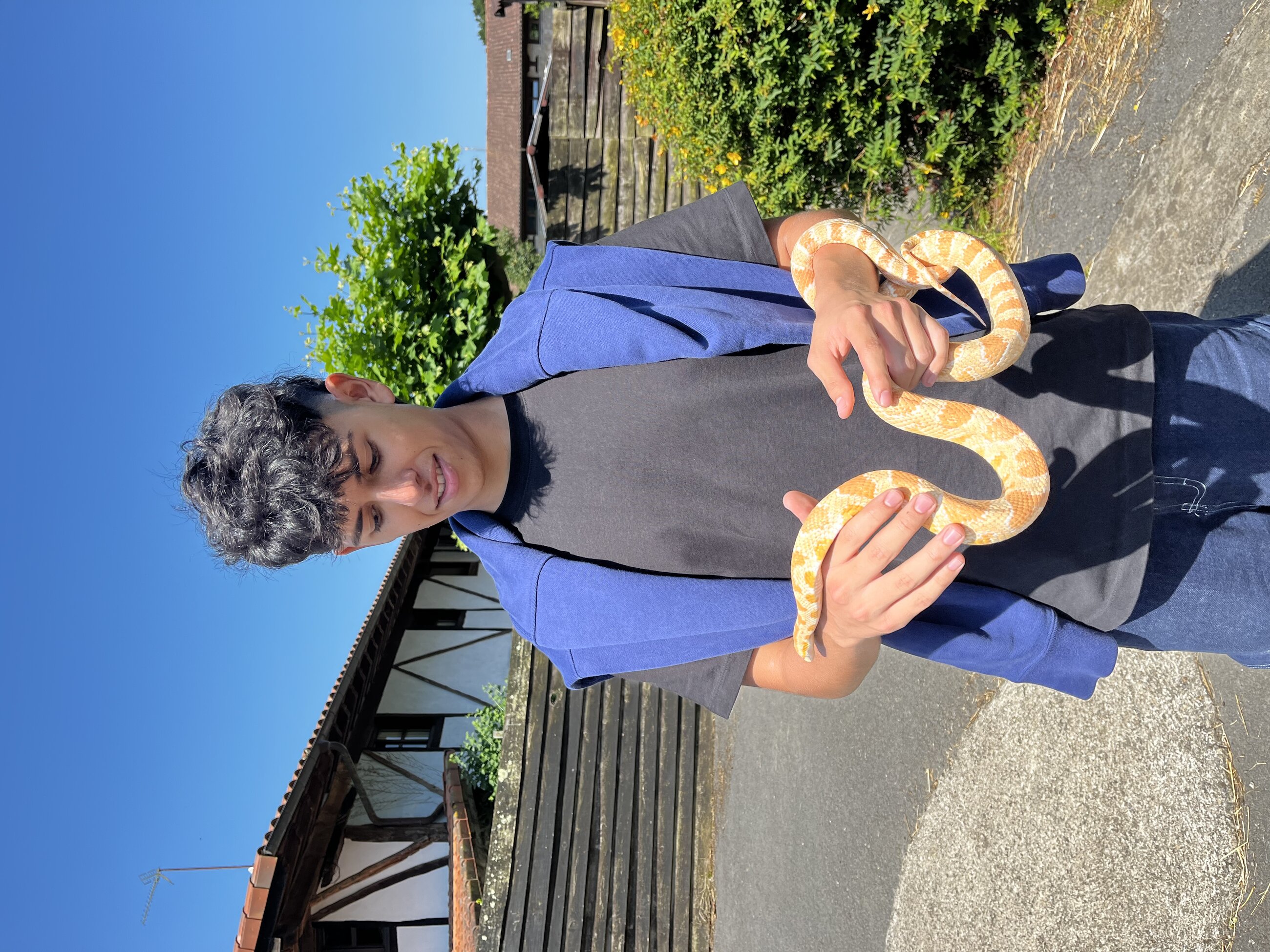 snakes are nice animals