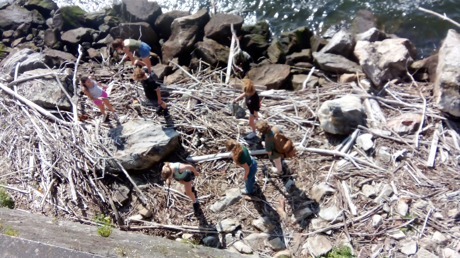 Hard work in beach cleaning