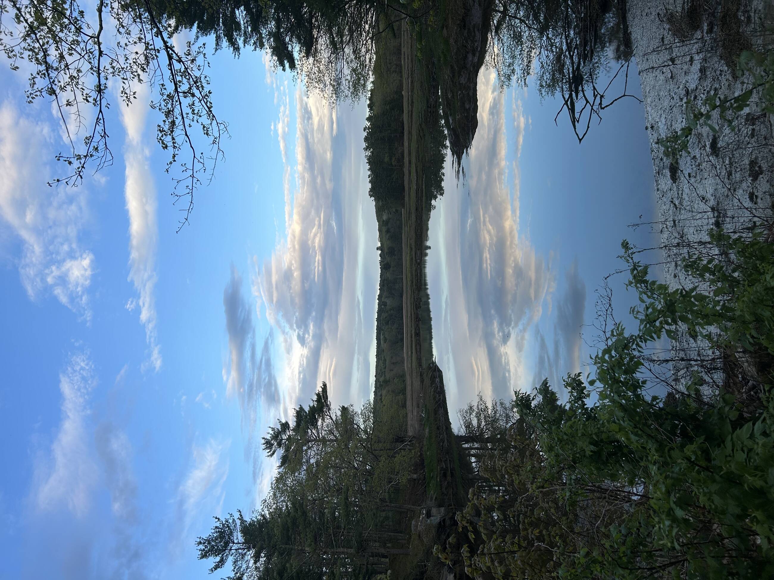 Lake view