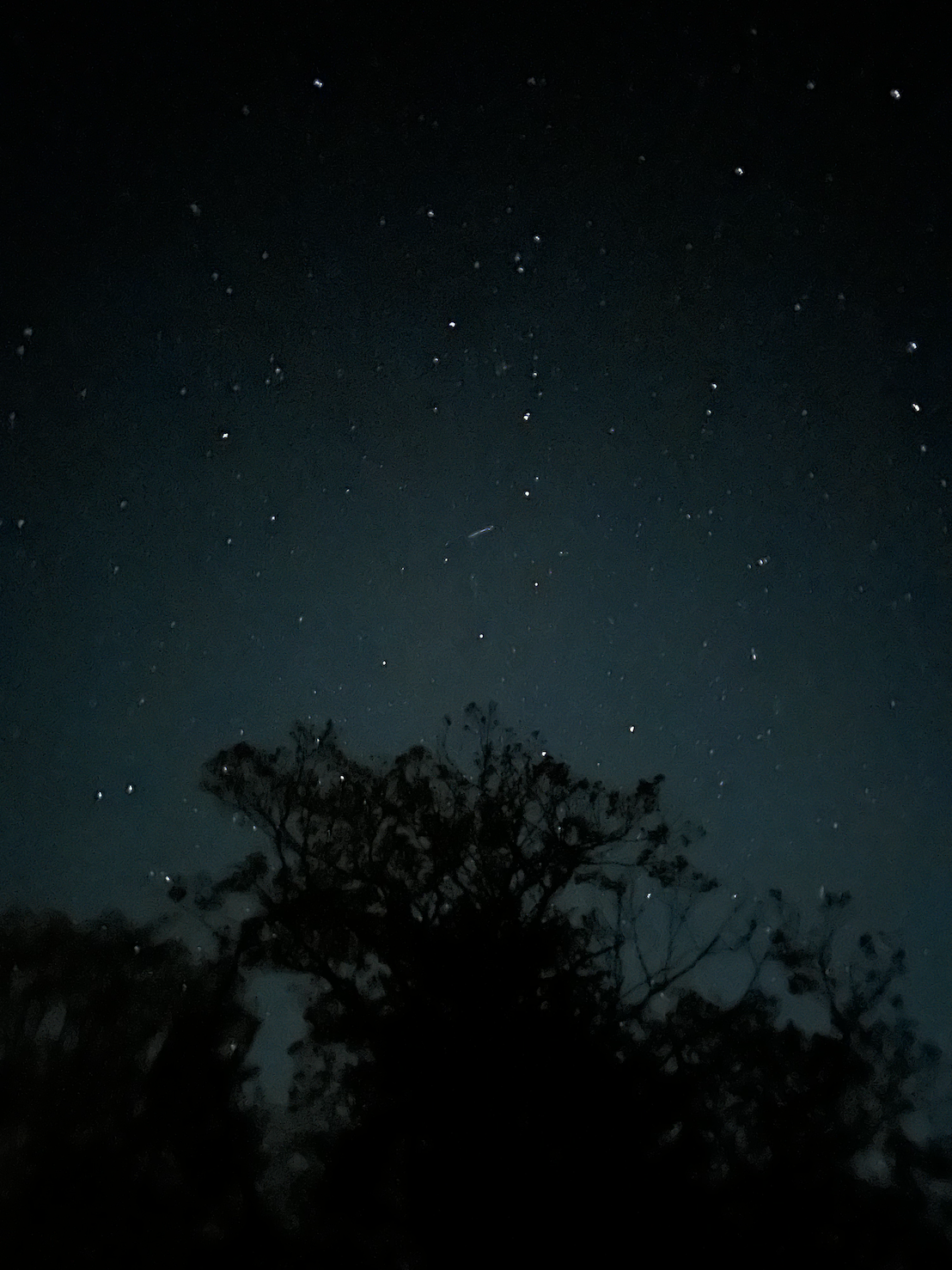 Watching the night sky with friends