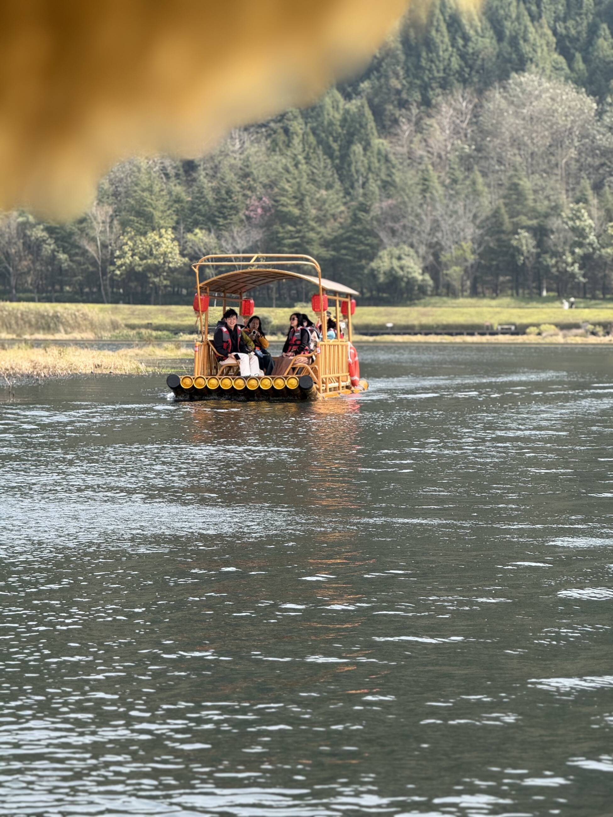 Beihai Wetland Park, Tengchong