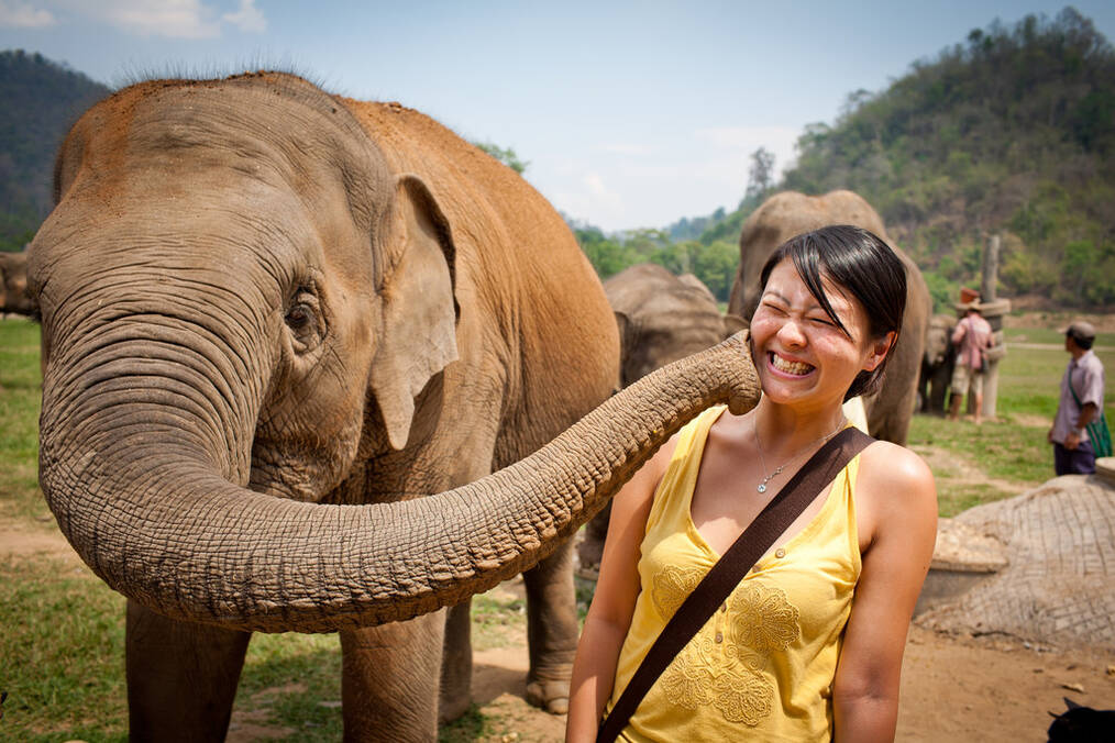 How to Volunteer at an Elephant Sanctuary in Thailand