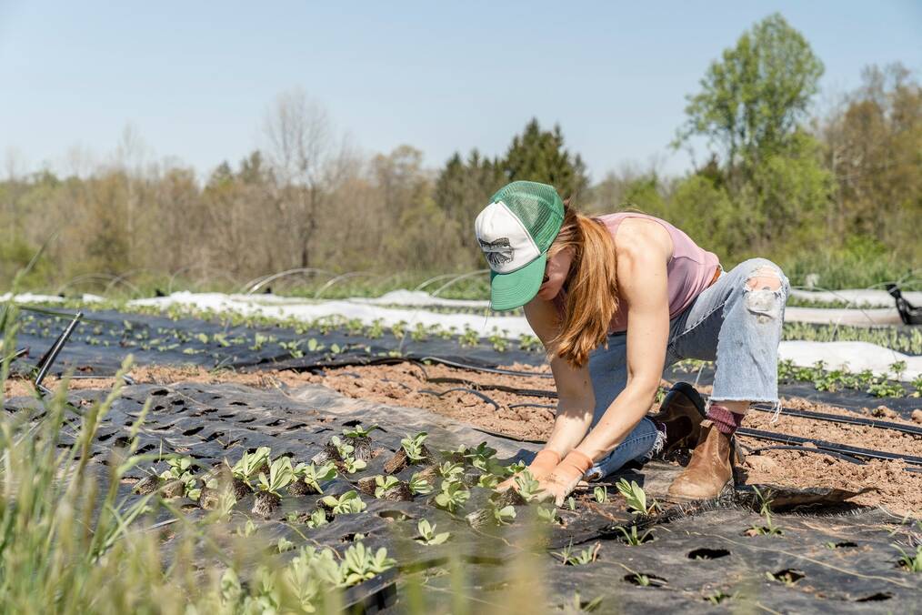WWOOF--keep an open mind