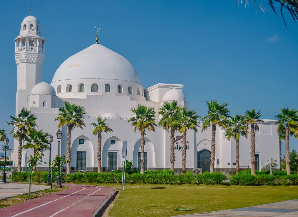 A white mosque in Saudi Arabia with palm trees outside