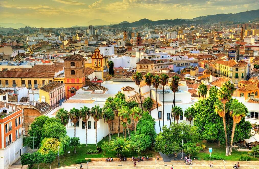A view of buildings and palm trees in Barcelona.