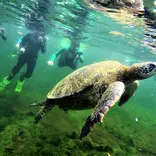 Galapagos 