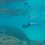 Student diving 