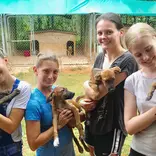 Animal Care Volunteer Program in Jamaica - St Mary