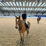 Equine Study Abroad Program - Riding Portion
