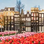 Study Dutch in the Netherland