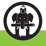 ivi volunteers logo