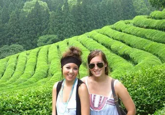 explore south korea as an english teacher