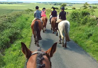 Harelaw Horse Trek