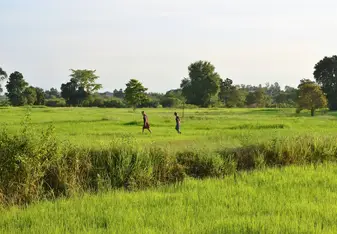 Two program participants exploring an organic farm in Chaiyapum