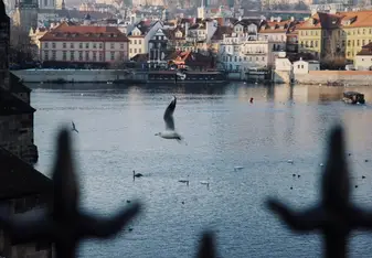 Prague's Vltava River