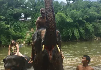 Students Embraces Thrill from Thailand Elephant Sanctuary 