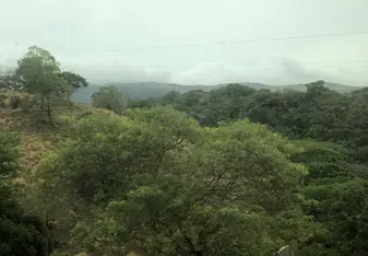 The views 