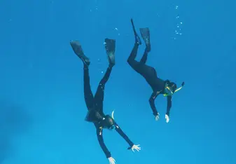 Snorkeling in the Great Barrier Reef, Australia 