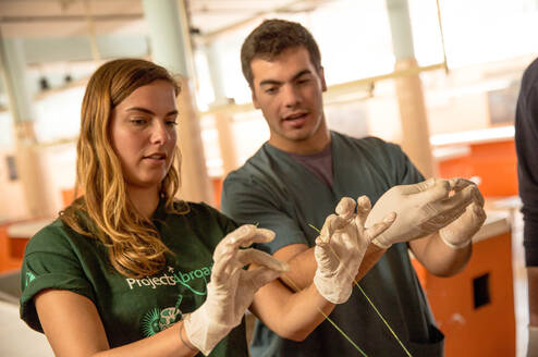 Danish Projects Abroad Medicine volunteer practices tying off a suture during a medicine workshop at the Museo de Anatomia in Cordoba, Argentina