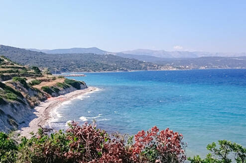 Volunteer in Greece with IVHQ