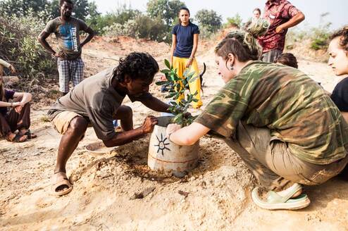 Planting a tree