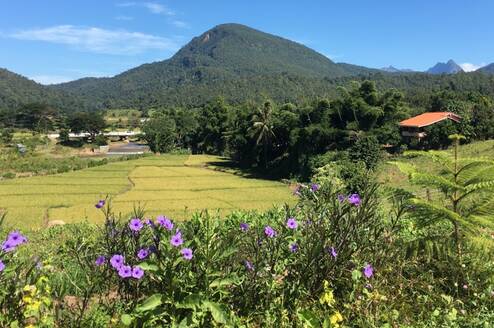 Muong Khong
