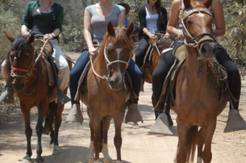 guiding the tours on horseback