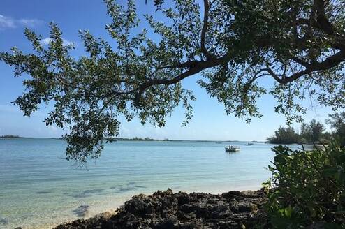 Forfar Gap Year Andros Bahamas