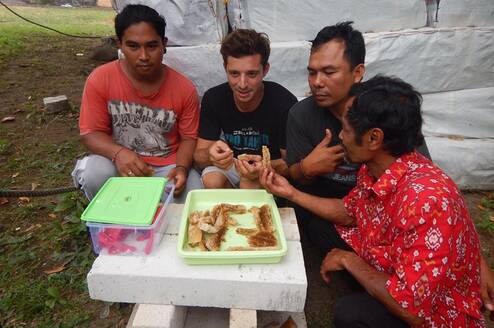 Working with the local farmers to help with their training