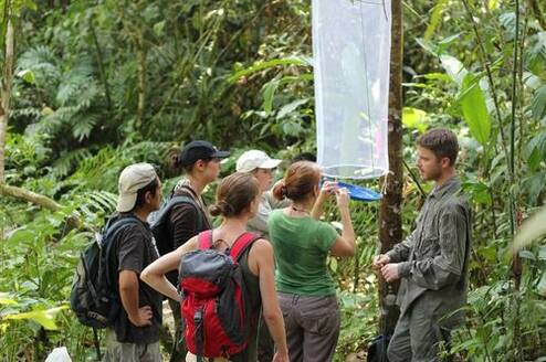 Volunteer take part in geo-mapping project in kakamega rain forest