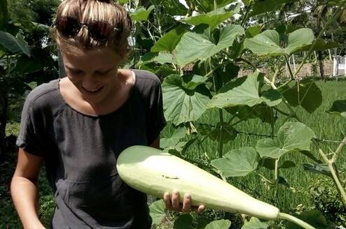 Volunteer at the permaculture garden