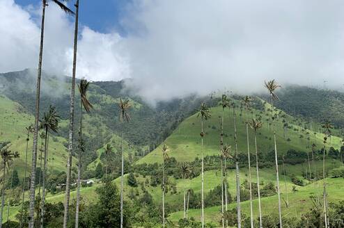 Colombia excursion