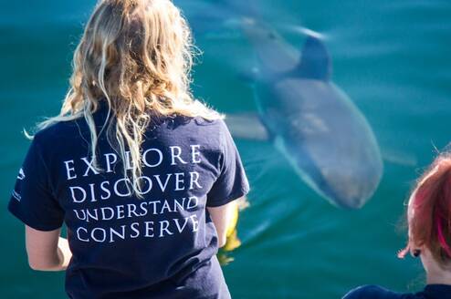 Research Trips