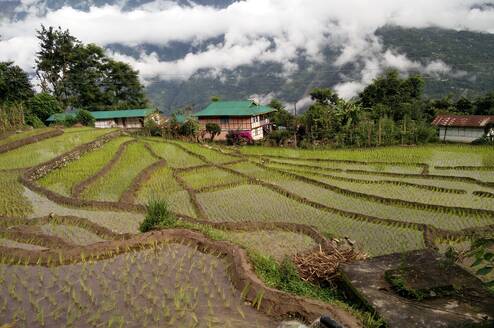 Terrace Farming at Patuk Village