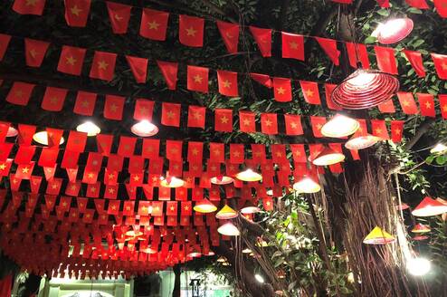Vietnamese flag