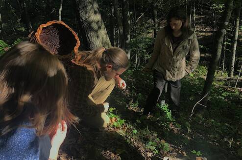 2019 Semester Program students harvesting acorns.