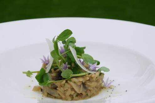 Wild Mushroom Risotto with Rocket & Parmesan