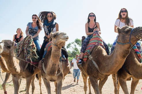 CIEE College Study Abroad in Rabat, Morocco